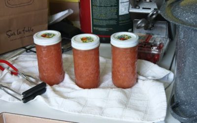 DIY Lower Sugar Pear Preserves – I Came, I Saw, I Canned!