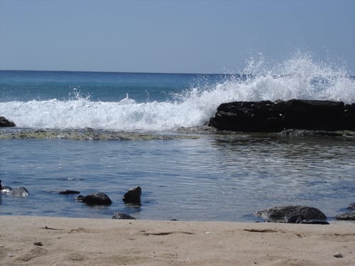 wave2