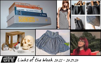 Links of the Week – DIY and Otherwise 10.11 – 10.17.10