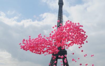 Recommendations…For Paris??!