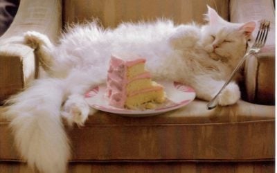 I’m 3 Years Old…and I’m Moving!