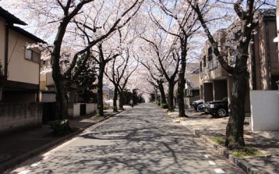 Tokyo Photodiary April-May 2012 Part 2