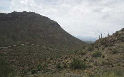 Tucson, Arizona Photo Diary