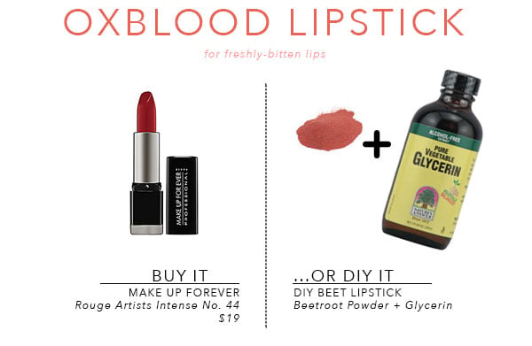 buyvsdiy_oxbloodlipstick