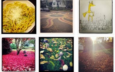 A Week in Instagram: Early November 2012