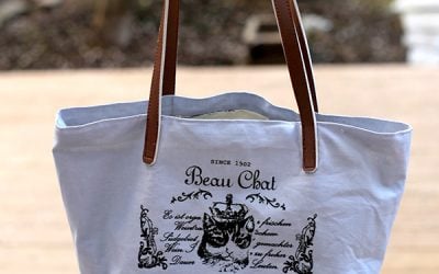 DIY Handsome Cat / YOU ARE BLOWING MY MIND Handbag
