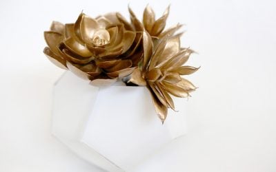 DIY Potted Gold Succulent in Geometric Origami Planter for Domestic Slice