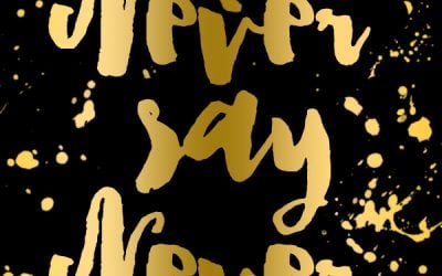 Inspiration: Never Say Never Quote
