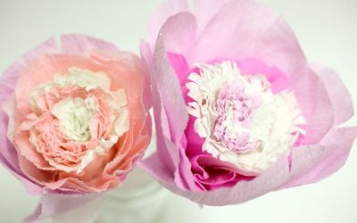 DIY Valentine’s Day Crepe Paper Peony Flowers with Paper Mart